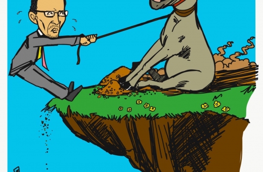 tomanddonkey