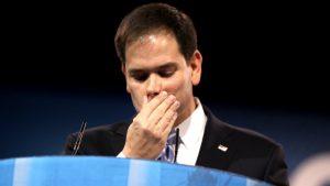 Marco Rubio, wikileaks,